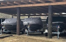 Поліцейський налагодив продаж "радіоактивної" риби із Чорнобильської зони (фото)