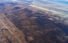 В Одеській області вигоріло 6 тисяч гектарів заповідного Тарутинського степу (фото, відео)