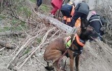 У Дніпрі собака знайшов жінку, яка просиділа в колодязі дві доби (відео)