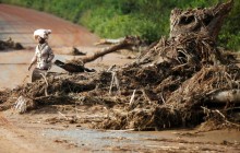 Число жертв циклона "Идай" в Зимбабве увеличилось до 179 человек