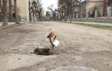 Чайник на паличці: в Чернівцях у незвичний спосіб "залатали" яму на дорозі (фото)
