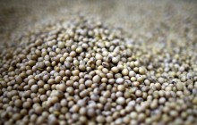 Україна збільшила експорт агропродукції до Туреччини