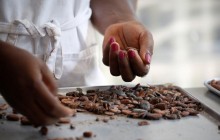 Цены на какао упали до минимума за последние 10 лет