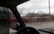 Новий учасник авторуху: на українських дорогах побачили страуса (фото, відео)