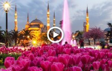 Цветочный рай: в Стамбуле проходит ежегодный фестиваль тюльпанов (видео)