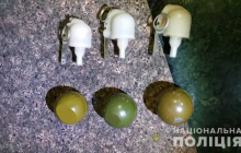 В Ужгороде на железнодорожном вокзале нашли сумку с гранатами