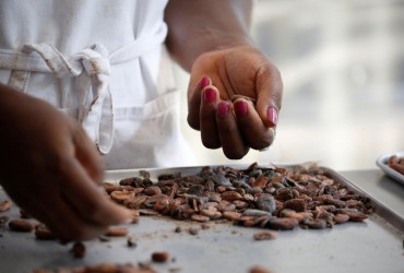 Цены на какао упали до минимума за последние 10 лет