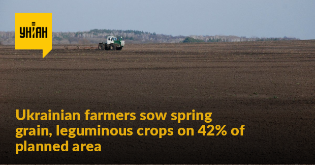 Ukrainian farmers sow spring grain, leguminous crops on 42% of planned area