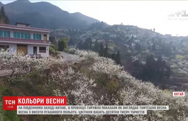 Барви китайської весни показали з висоти пташиного польоту (відео)
