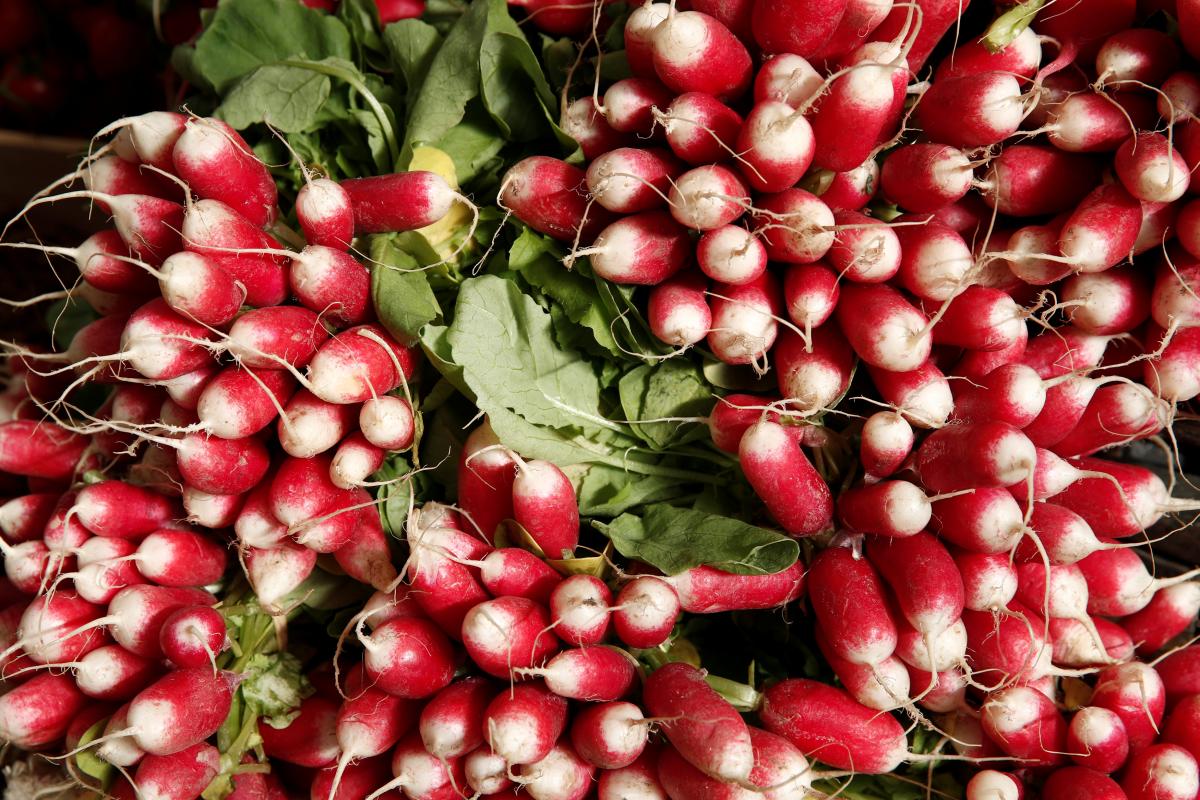 Иллюстрация REUTERS