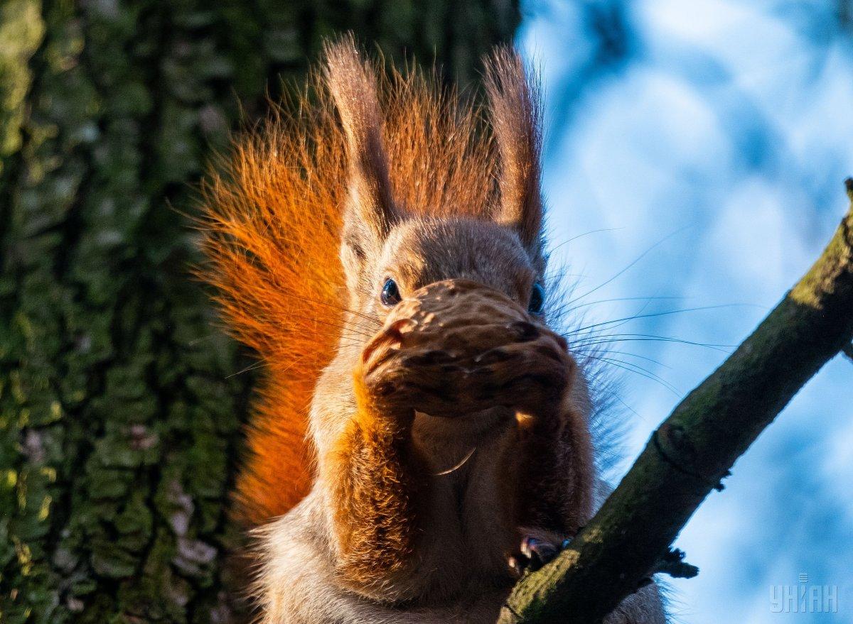 4 мая в некоторых областях Украине похолодает / Фото УНИАН 4 мая в некоторых областях Украине похолодает / Фото УНИАН