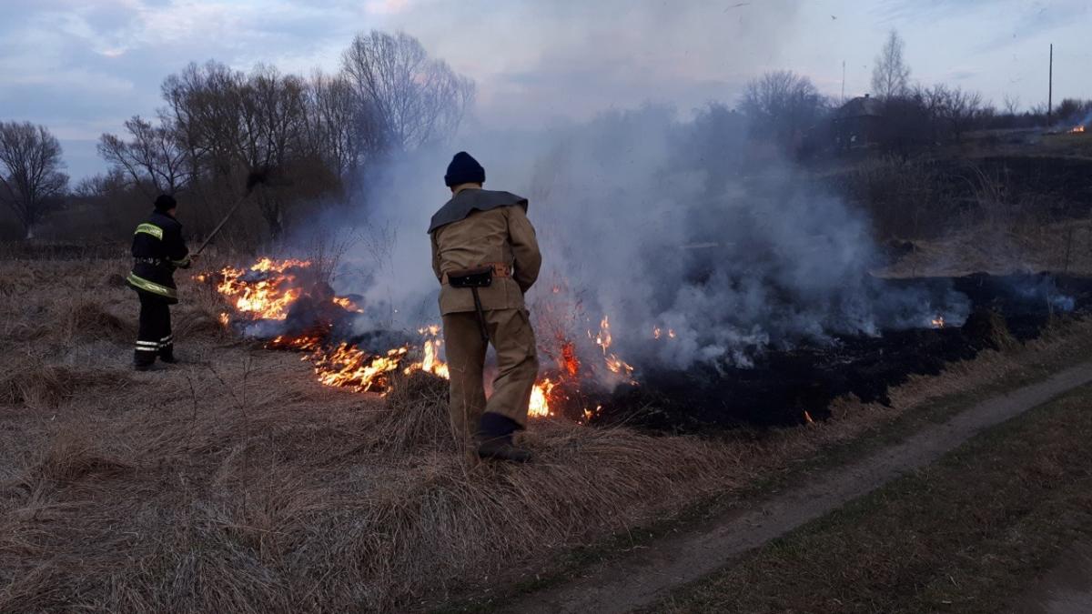 За последние сутки в киевской области зафиксировано 124 пожара \ Фото kh.dsns.gov.ua За последние сутки в киевской области зафиксировано 124 пожара \ Фото kh.dsns.gov.ua