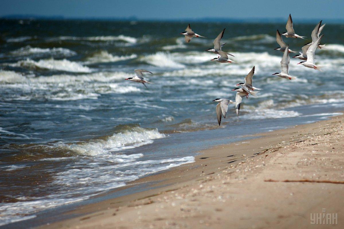 У Держдумі РФ підготували законопроект з анексії Азовського моря / фото УНІАН У Держдумі РФ підготували законопроект з анексії Азовського моря / фото УНІАН