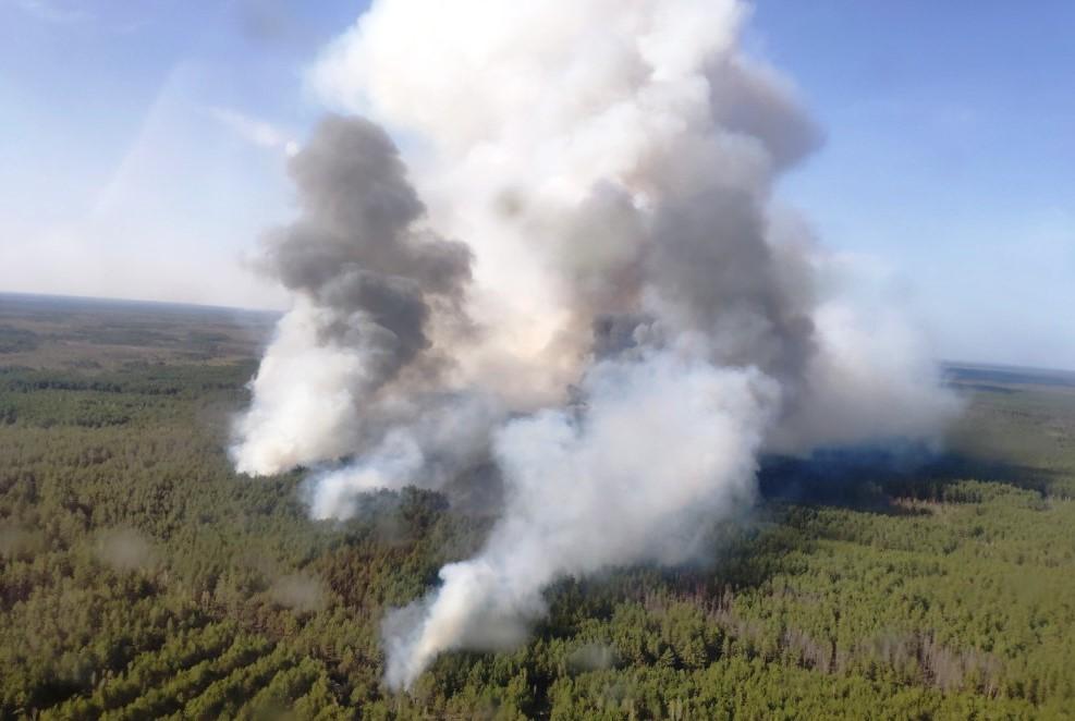 Лісові пожежі з Білорусі перекинулися на Житомирщину / фото zt.dsns.gov.ua Лісові пожежі з Білорусі перекинулися на Житомирщину / фото zt.dsns.gov.ua
