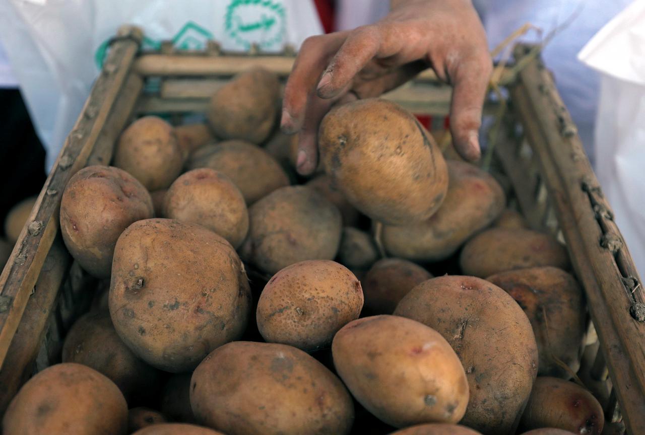 В 2019 году Украина увеличила ввоз картофеля в 43 раза / REUTERS