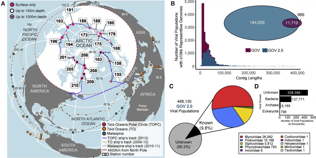 Проект Global Ocean Viromes 2.0 / Sullivan et al. Cell Проект Global Ocean Viromes 2.0 / Sullivan et al. Cell