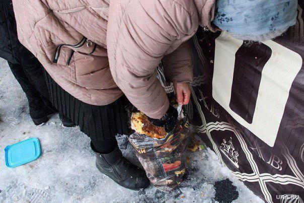 Пенсіонери полізли через огорожу, щоб наповнити сумки / фото Лентач Пенсіонери полізли через огорожу, щоб наповнити сумки / фото Лентач