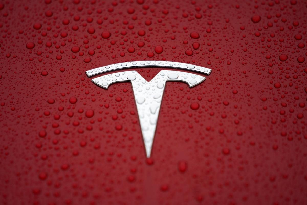 Илон Маск подтвердил, что логотип Tesla является носом кота | УНИАН