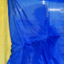 Результаты выборов в Раду: половина протоколов обработана, пять партий попадают в парламент