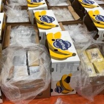 В Нидерландах среди бананов обнаружили партию кокаина весом в 1,6 тонны