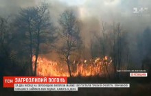 За два місяці на Херсонщині вигоріло майже 100 гектарів трави й очерету (відео)