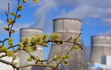 Новий ринок електроенергії має стати конкурентним для всіх без винятку - Український ядерний форум