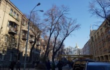 У Києві здійснюють системне обрізування дерев заради їх збереження в умовах мегаполісу – КМДА