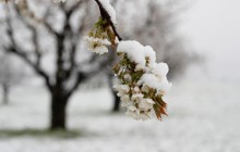 Синоптик здивував прогнозом погоди на весну: морози будуть навіть вдень