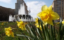 Поміж вишневих садків та нарцисів: у Берліні вже справжня туристична весна (фоторепортаж)