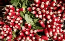 На ринках з'явилася перша весняна редиска: що з нітратами та цінами (відео)