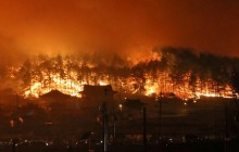 Из-за лесного пожара на Канарах эвакуировали 9 тысяч человек