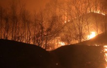 В Арізоні вирує масштабна лісова пожежа