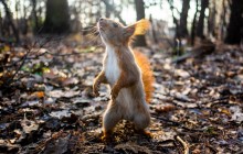 Відомий синоптик попереджає про неоднорідну погоду в Україні: до чого готуватись