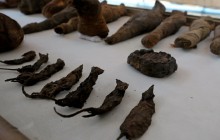 В Єгипті знайшли гробницю з муміями мишей і птахів (фото)