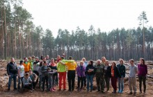 На Львівщині встановили національний рекорд з висадки дерев – понад 77 тисяч протягом дня (фото)