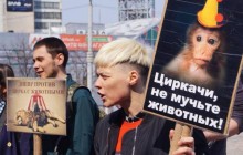 В Днепре зоозащитники провели акцию за цирки без животных