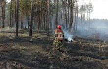 У Києві сталася пожежа поблизу "Биківнянських могил", а на Чернігівщині горить ландшафтний парк