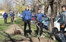 В Одесі екоактивісти висадили райські яблуні, а ветерани АТО – дуби (фото)