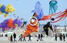 Гігантський кит та спритні "акробати": у Франції проходить фестиваль повітряних зміїв (відео)