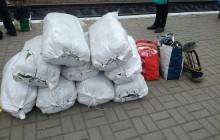На Тернопільщині затримали осіб, які нарвали 13 мішків червонокнижної рослини (фото)