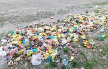 На Рівненщині неподалік міжнародної траси викинули тисячі буханців цвілого хліба (фото, відео)