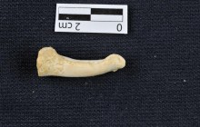 Вчені відкрили невідомий раніше карликовий вид людини (фото)