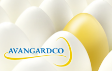 «Авангард» Олега Бахматюка очолив ТОП-7 експортерів курячих яєць