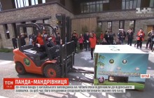 Панду із китайського заповідника відправили на побачення до віденського зоопарку (відео)