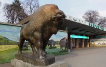 Скульпторы вернут первоначальную форму фигурам зубра и львов перед входом в Киевский зоопарк - КГГА