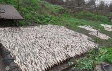 Окуни, щуки и караси: в Днепре задержали браконьера с уловом на почти 85 тысяч гривень (фото)