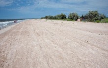 На Одещині два депутати привласнили 1,5 га узбережжя вартістю 4 мільйони – прокуратура