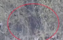 Смертельный удар ВСУ на Донбассе попал на видео