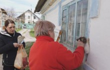 Під Харковом оголосили карантин через виявлення сказу в кота