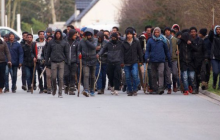 На Закарпатті побилася майже сотня ромів – ЗМІ